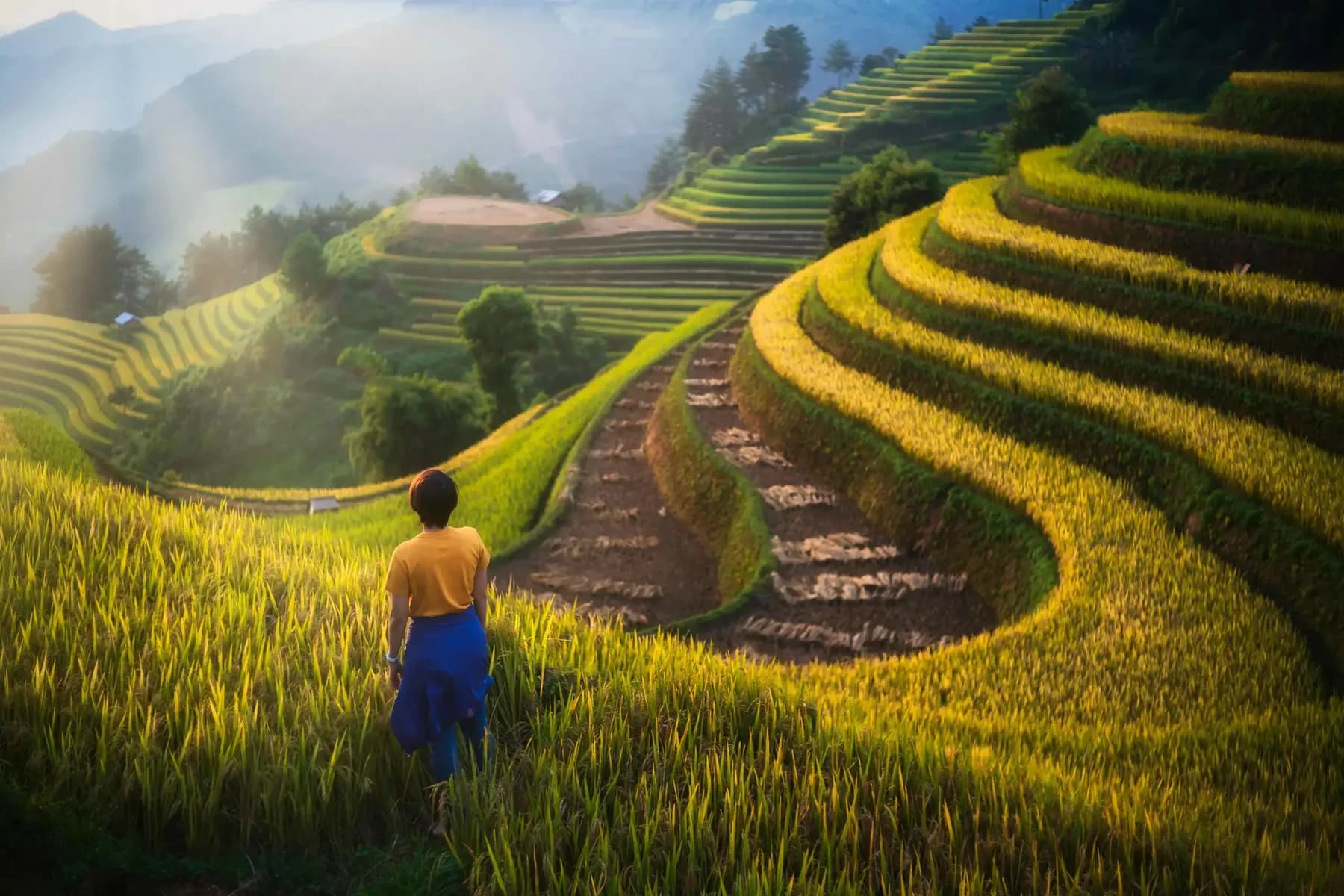 Walking path through Longji Rice Terraces